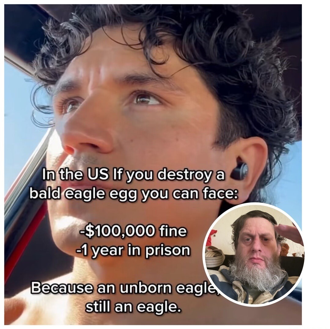In the US If you destroy a bald eagle egg you can face: -$100,000 fine -1 year in prison Because an unborn eagle still an eagle.