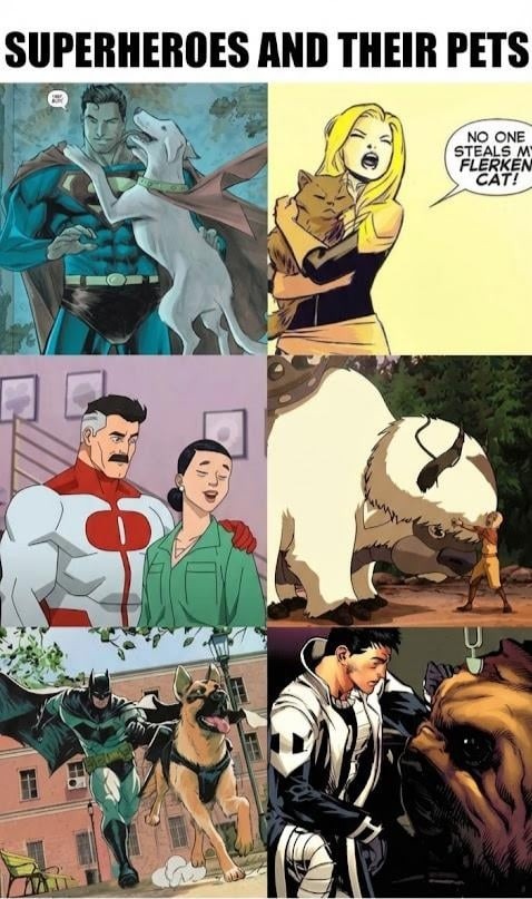 SUPERHEROES AND THEIR PETS