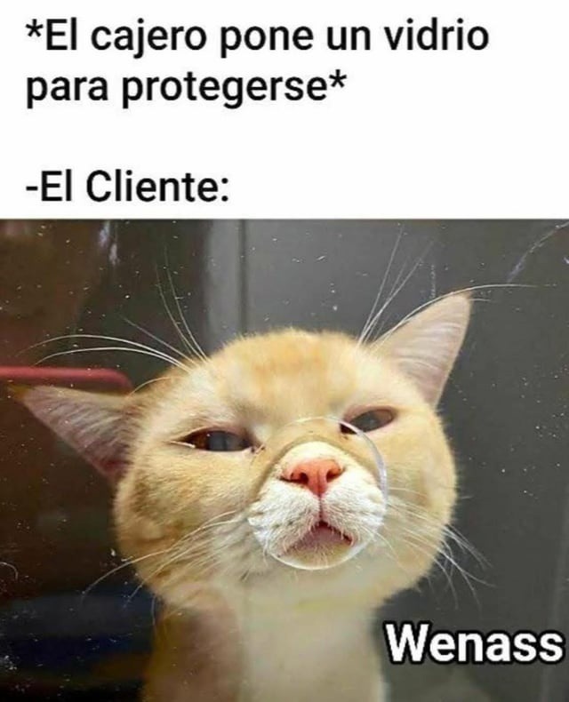 *El cajero pone un vidrio para protegerse* -El Cliente: Wenass