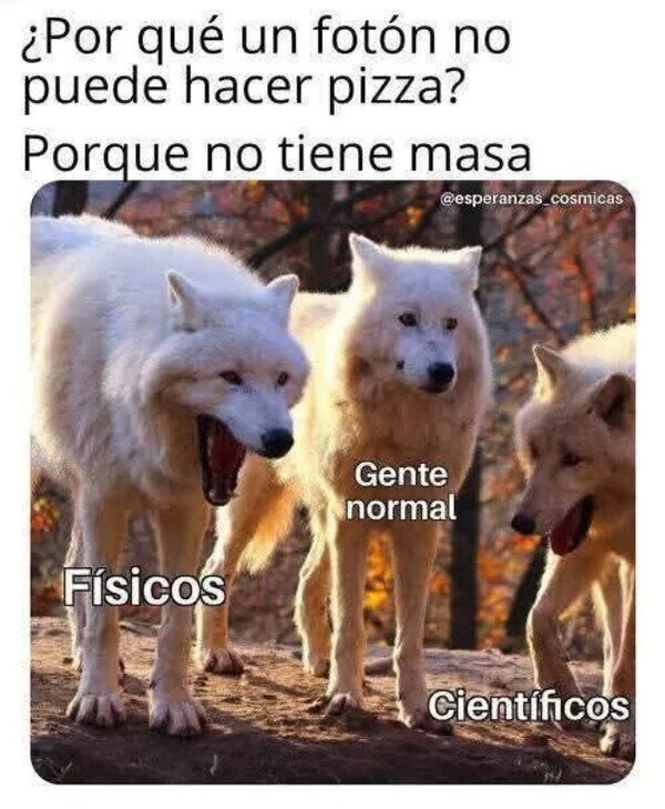 ¿Por qué un fotón no puede hacer pizza? Porque no tiene masa. 
Físicos | Gente normal | Científicos