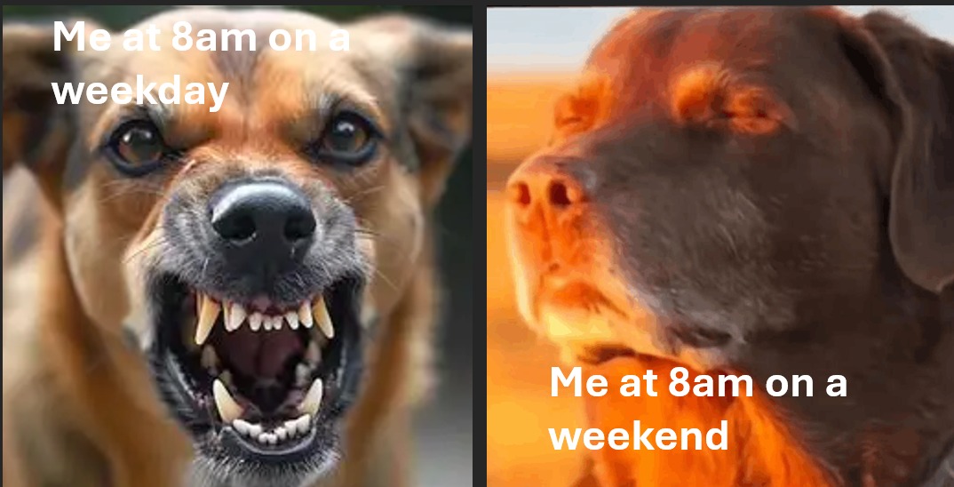 Me at 8am on a weekday
Me at 8am on a weekend