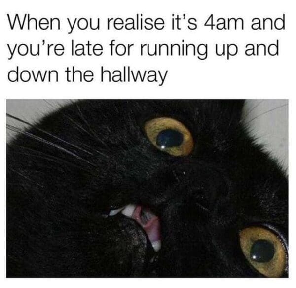 When you realise it’s 4am and you’re late for running up and down the hallway