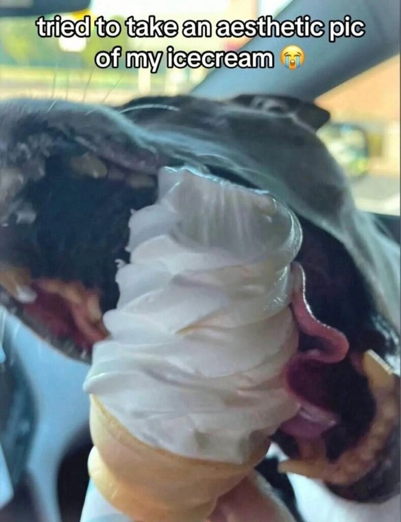 tried to take an aesthetic pic of my icecream 😭