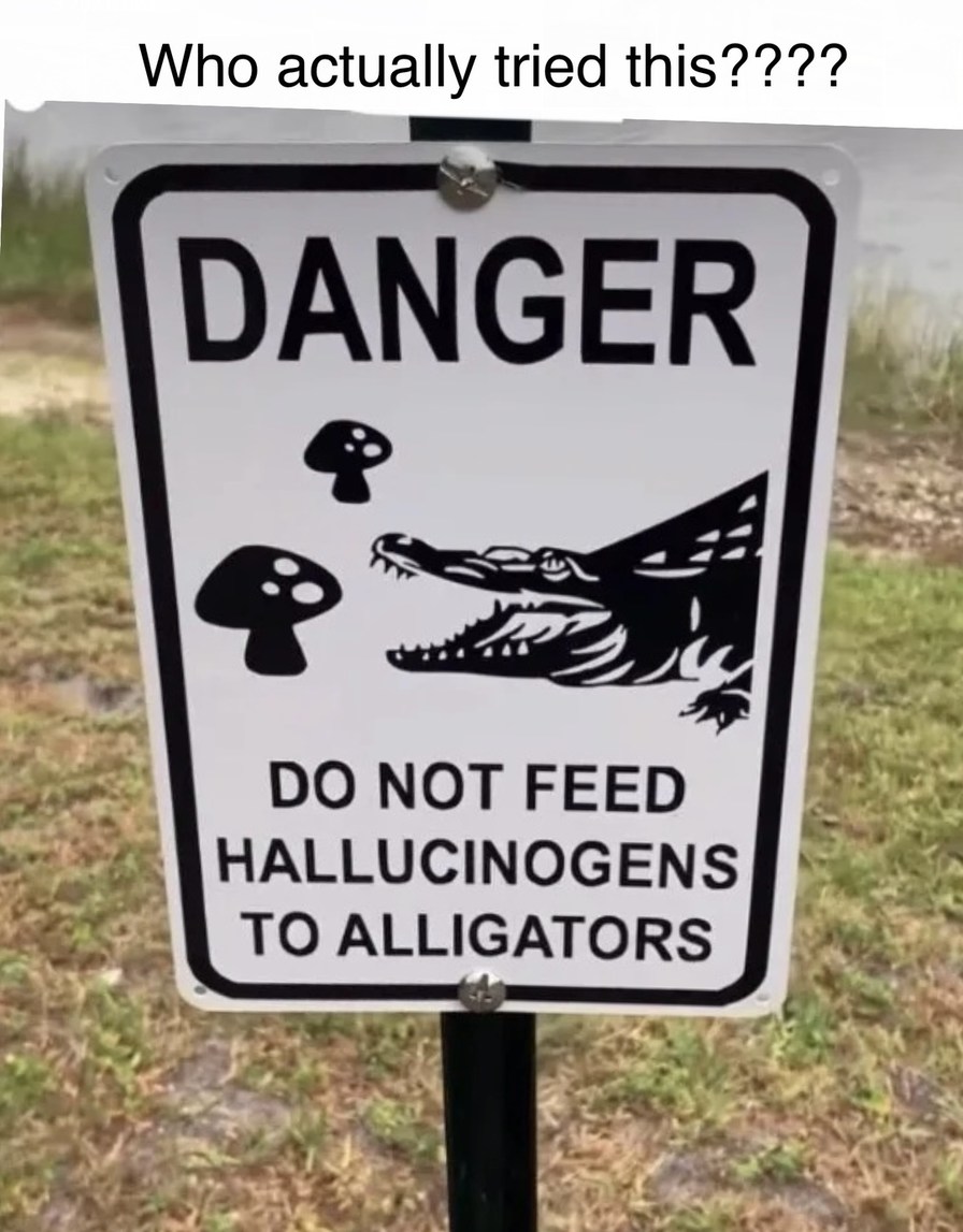 Who actually tried this???? DANGER DO NOT FEED HALLUCINOGENS TO ALLIGATORS