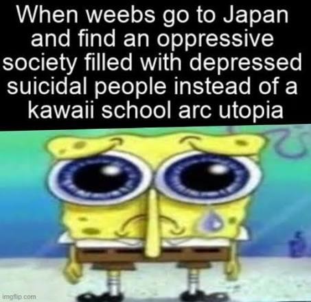Cuando los weebs van a Japón y encuentran una sociedad opresiva llena de gente deprimida y suicida, en lugar de una utopía kawaii de arco escolar.