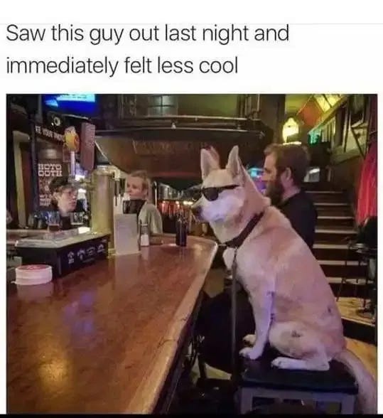 Saw this guy out last night and immediately felt less cool