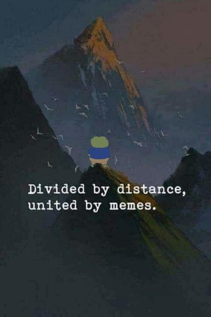 Divided by distance, united by memes.