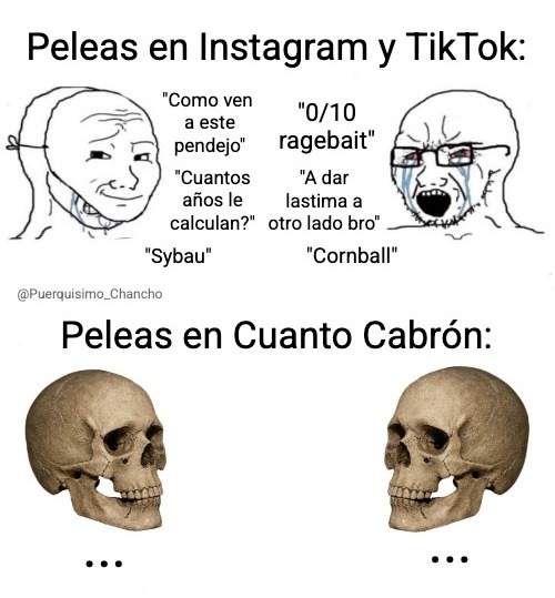 Peleas en Instagram y TikTok:
