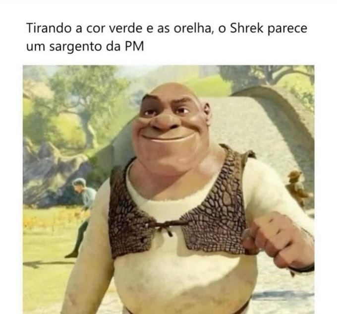 Tirando a cor verde e as orelhas, o Shrek parece um sargento da PM