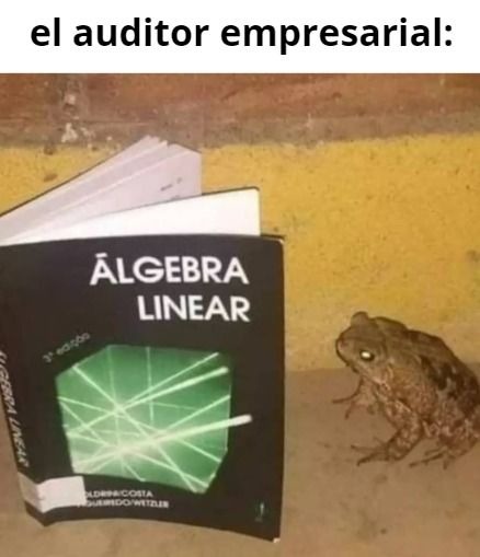 el auditor empresarial:
ÁLGEBRA LINEAR