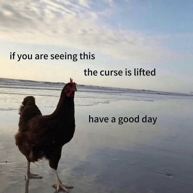if you are seeing this the curse is lifted have a good day