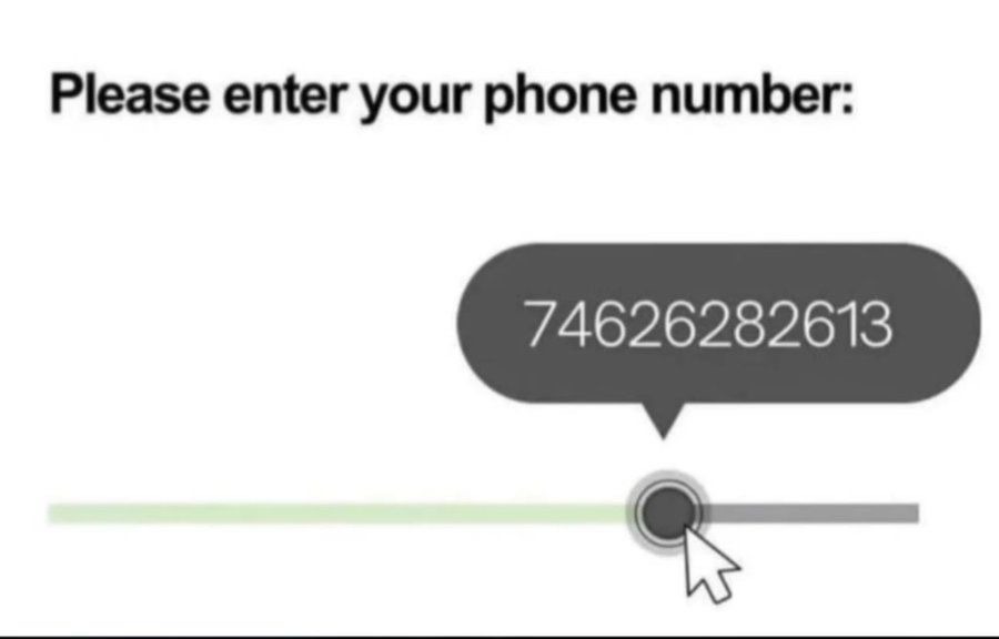 Please enter your phone number:
746262828613
Session ID: 6132.