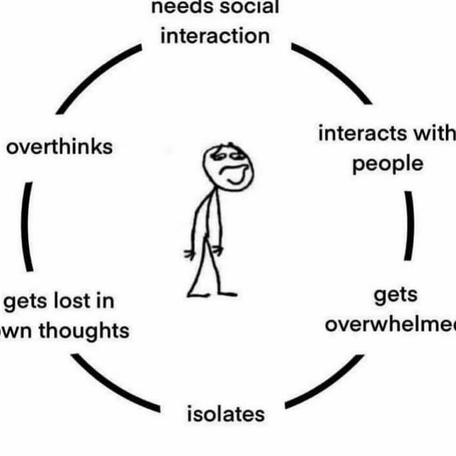 needs social interaction
interacts with people
gets overwhelmed
isolates
gets lost in own thoughts
overthinks