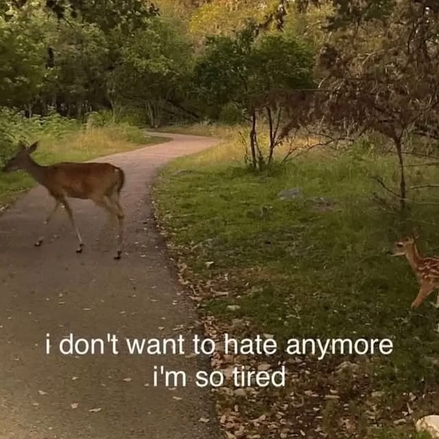 i don't want to hate anymore i'm so tired