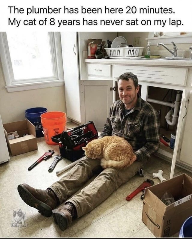 The plumber has been here 20 minutes. My cat of 8 years has never sat on my lap.
