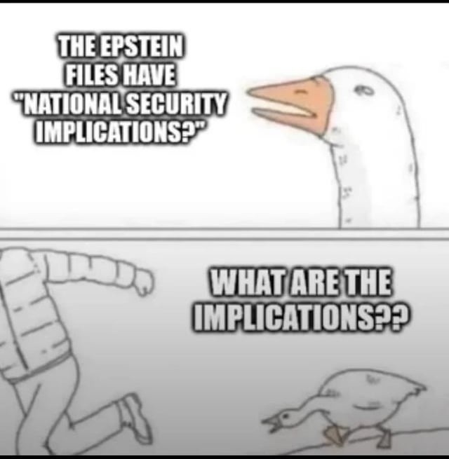 THE EPSTEIN FILES HAVE 'NATIONAL SECURITY IMPLICATIONS?' WHAT ARE THE IMPLICATIONS??