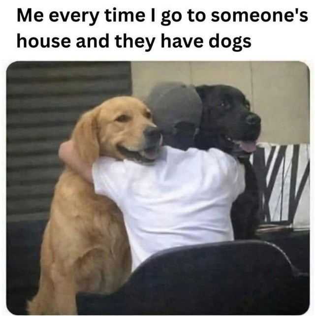Me every time I go to someone's house and they have dogs
