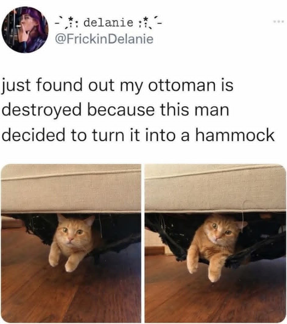 just found out my ottoman is destroyed because this man decided to turn it into a hammock