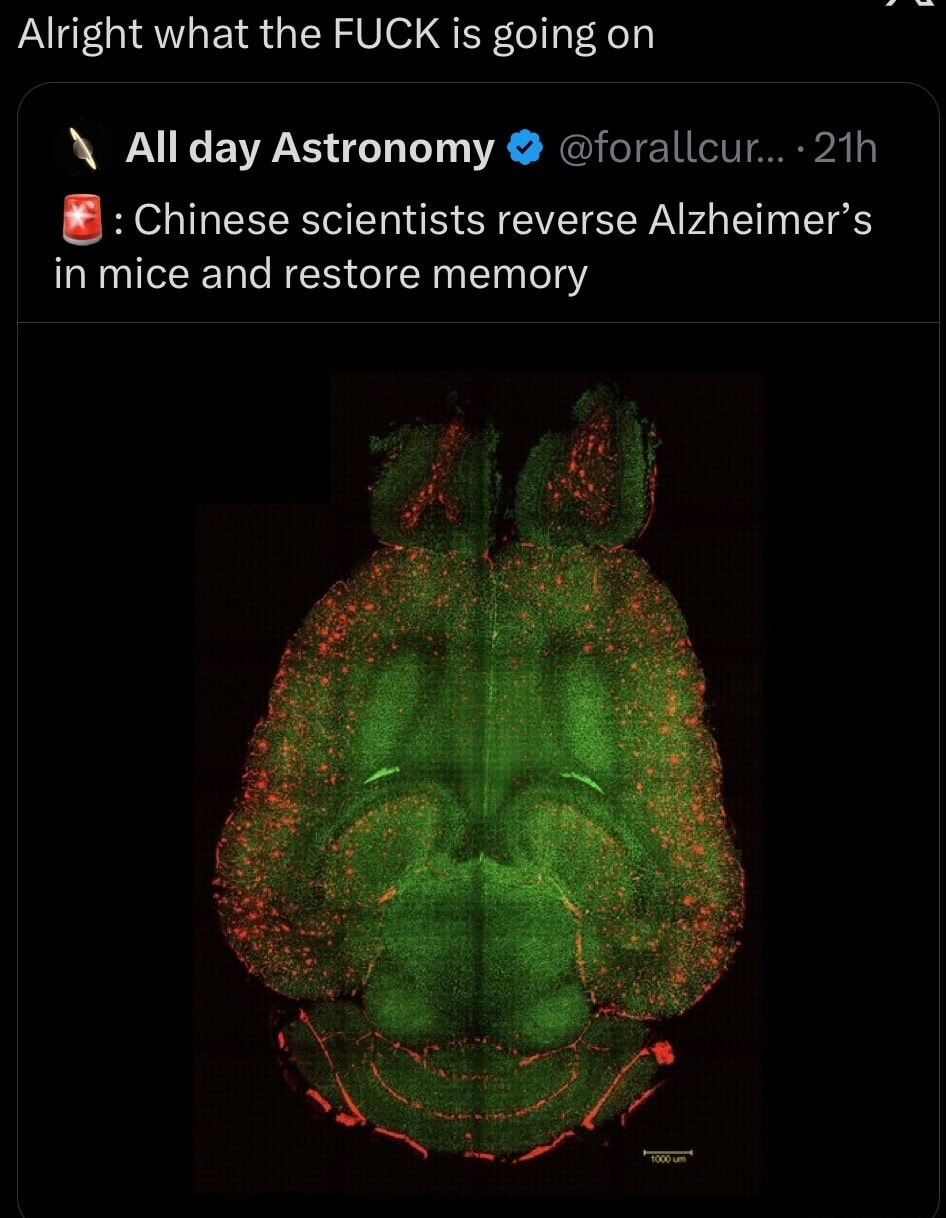 All day Astronomy · Chinese scientists reverse Alzheimer’s in mice and restore memory