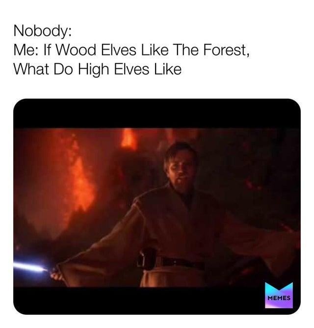 Nobody:\nMe: If Wood Elves Like The Forest, What Do High Elves Like