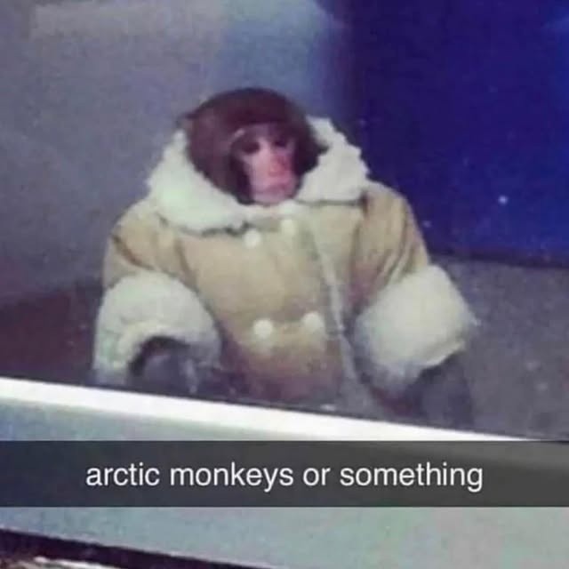 arctic monkeys or something
