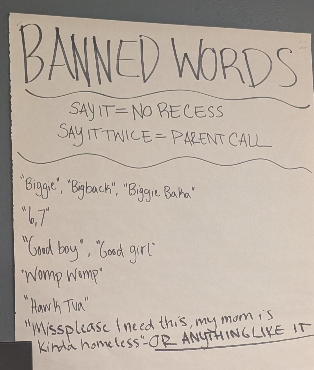 BANNED WORDS
SAY IT = NO RECESS
SAY IT TWICE = PARENT CALL
