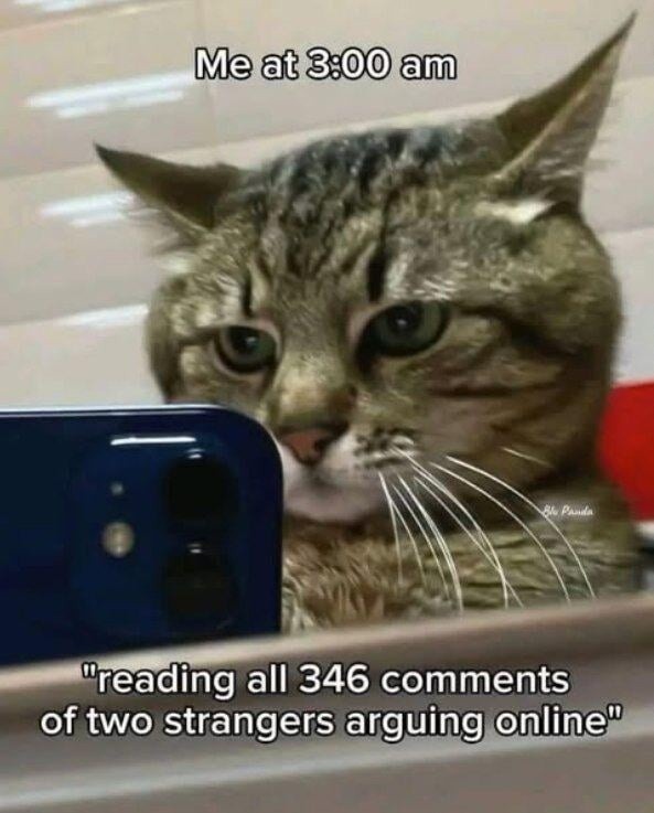 Me at 3:00 am
reading all 346 comments of two strangers arguing online
