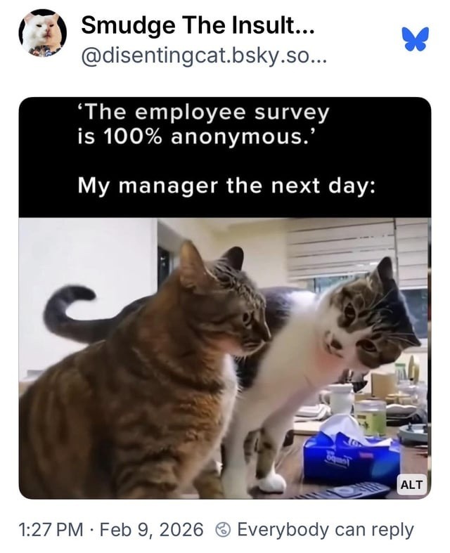 'The employee survey is 100% anonymous.'
My manager the next day:
