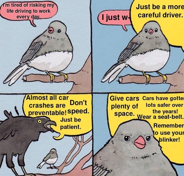 I'm tired of risking my life driving to work every day. Just be a more careful driver. Almost all car crashes are preventable! Don't speed. Just be patient. Give cars plenty of space. Cars have gotten plenty of safety over the years! Wear a seat-belt. Remember to use your blinker!