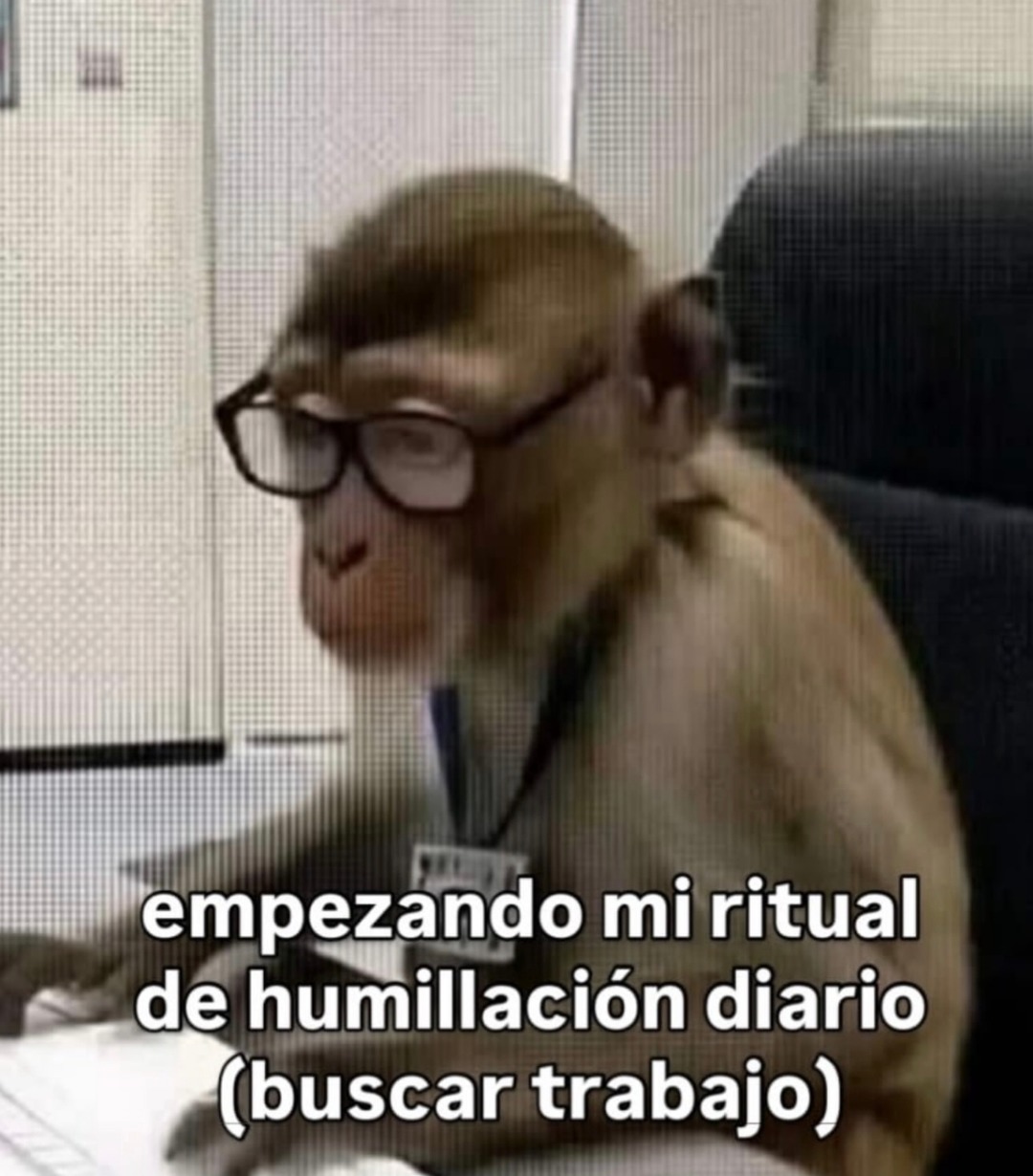 empezando mi ritual de humillación diario (buscar trabajo)