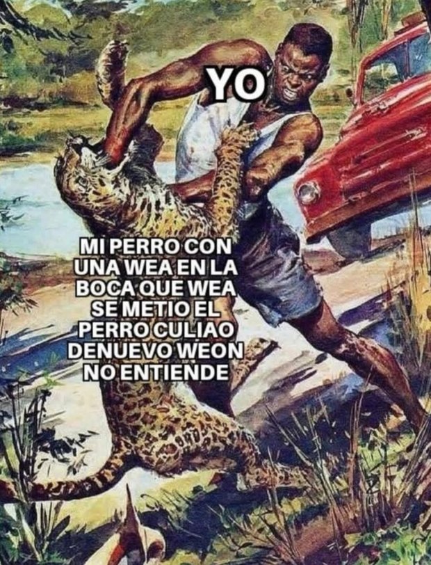 YO
MI PERRO CON UNA WEA EN LA BOCA QUE WEA SE METIO EL PERRO CULIAO DENUVO WEON NO ENTIENDE