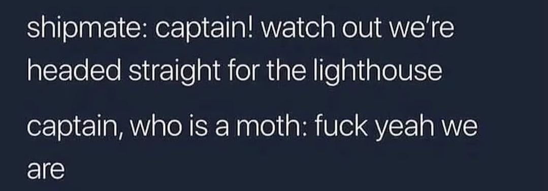 shipmate: captain! watch out we're headed straight for the lighthouse captain, who is a moth: fuck yeah we are