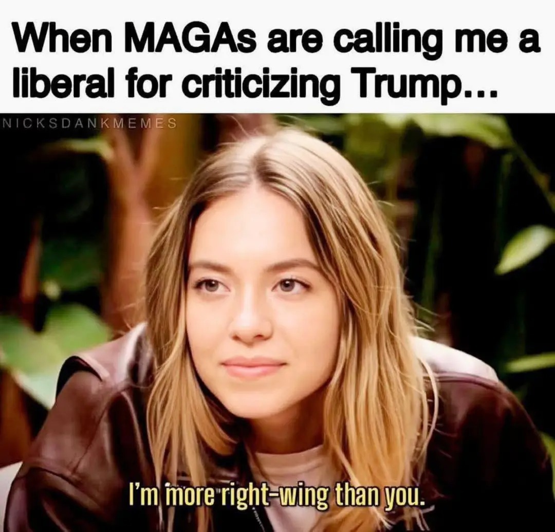 When MAGAs are calling me a liberal for criticizing Trump... I'm more right-wing than you.