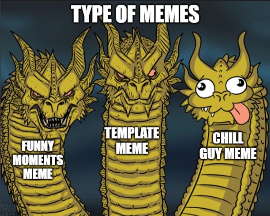 TYPE OF MEMES
FUNNY MOMENTS MEME
TEMPLATE MEME
CHILL GUY MEME