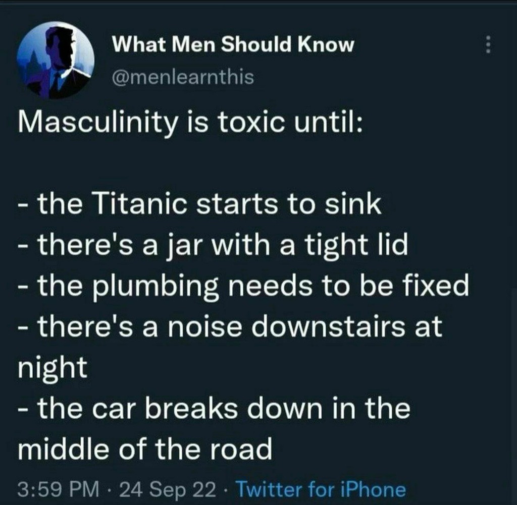 Masculinity is toxic until:
- the Titanic starts to sink
- there's a jar with a tight lid
- the plumbing needs to be fixed
- there's a noise downstairs at night
- the car breaks down in the middle of the road