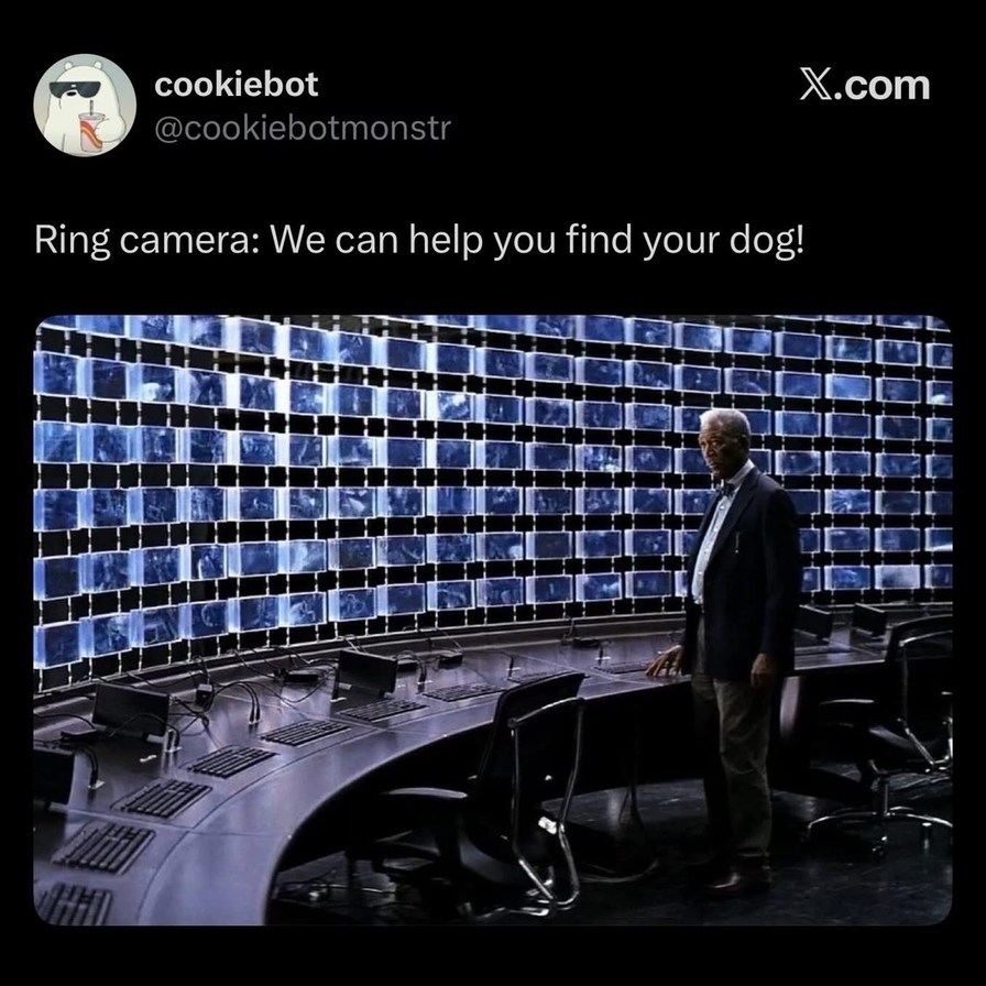 Ring camera: We can help you find your dog!