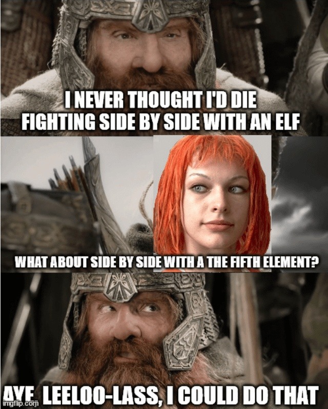 I NEVER THOUGHT I'D DIE FIGHTING SIDE BY SIDE WITH AN ELF WHAT ABOUT SIDE BY SIDE WITH A THE FIFTH ELEMENT? AYE LEELOO-LASS, I COULD DO THAT