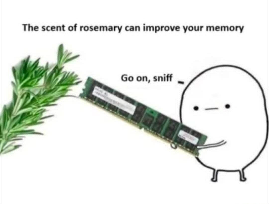 The scent of rosemary can improve your memory
Go on, sniff