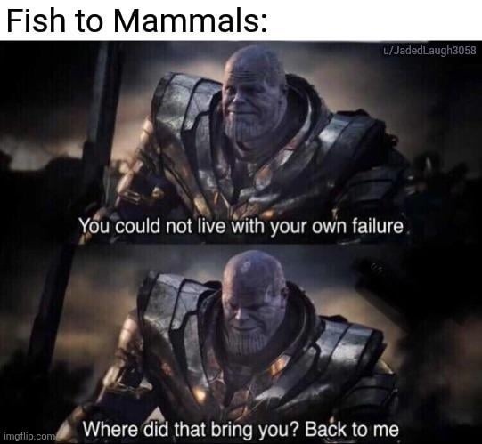 Fish to Mammals: You could not live with your own failure Where did that bring you? Back to me