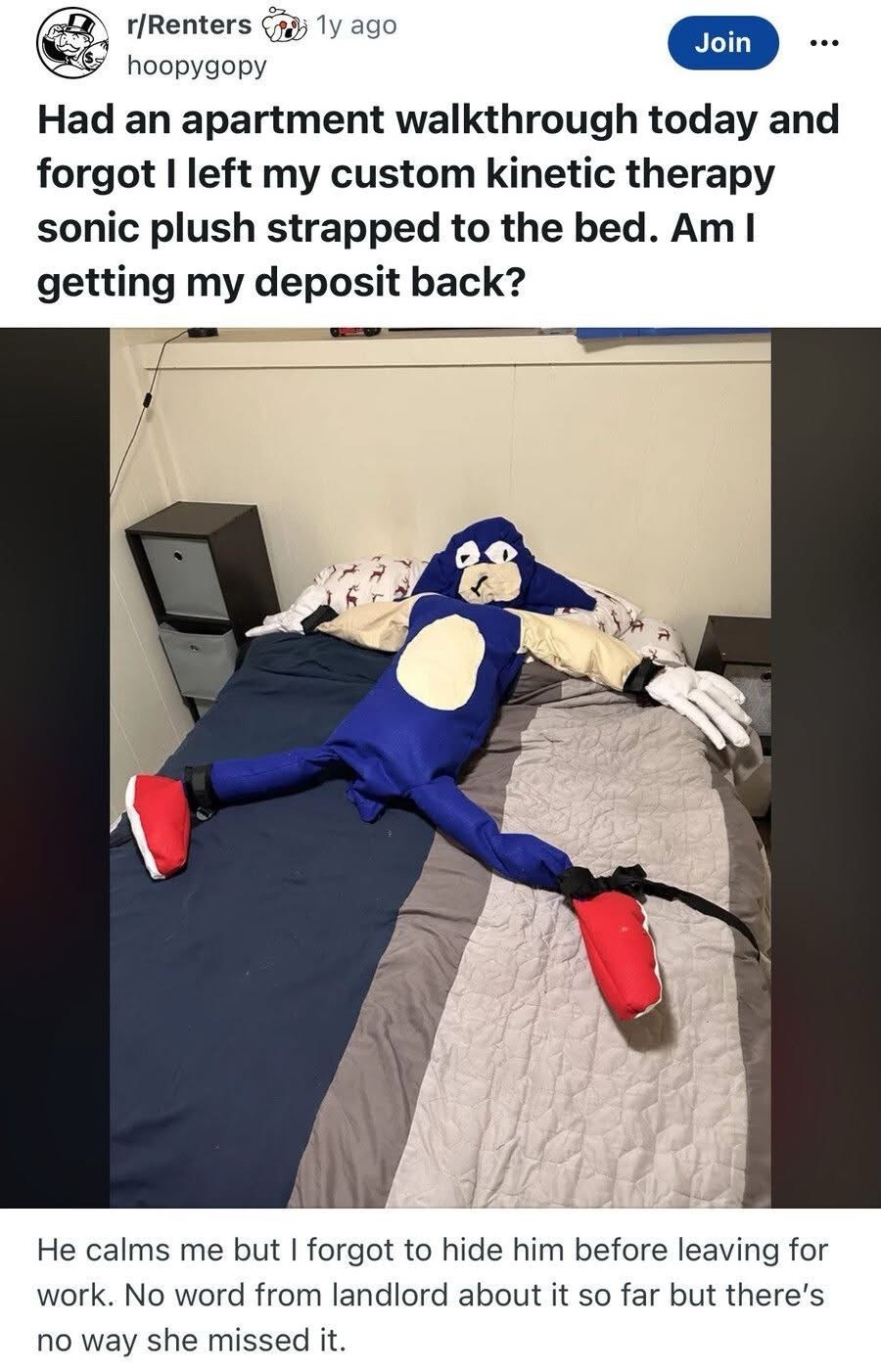 Had an apartment walkthrough today and forgot I left my custom kinetic therapy sonic plush strapped to the bed. Am I getting my deposit back?

He calms me but I forgot to hide him before leaving for work. No word from landlord about it so far but there's no way she missed it.
