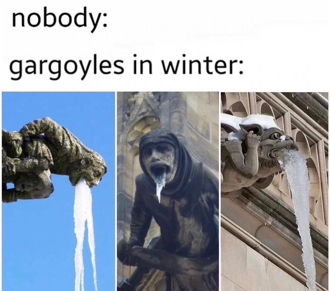 nobody:

gargoyles in winter: