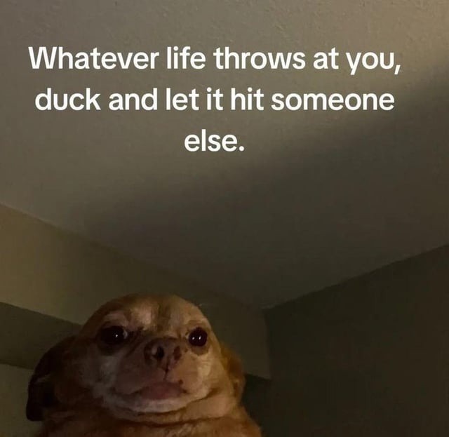 Whatever life throws at you, duck and let it hit someone else.