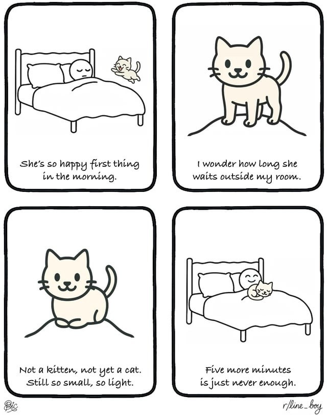 She's so happy first thing in the morning. I wonder how long she waits outside my room. Not a kitten, not yet a cat, Still so small, so light. Five more minutes is just never enough.