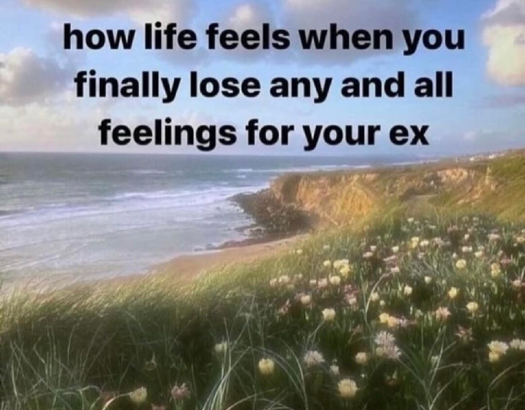 how life feels when you finally lose any and all feelings for your ex