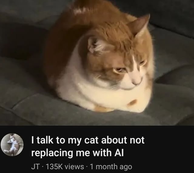 I talk to my cat about not replacing me with AI
JT · 135K views · 1 month ago