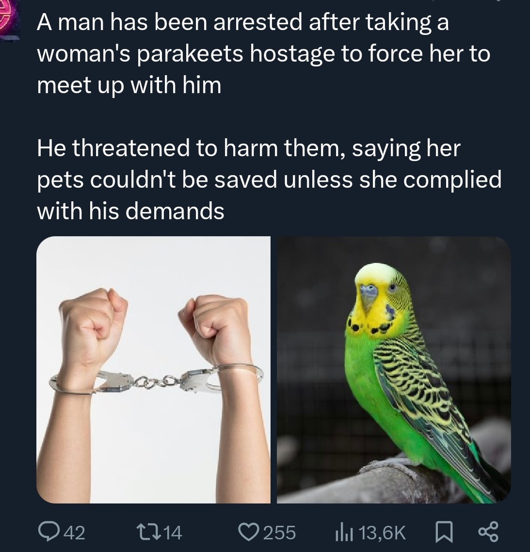 A man has been arrested after taking a woman's parakeets hostage to force her to meet up with him

He threatened to harm them, saying her pets couldn't be saved unless she complied with his demands