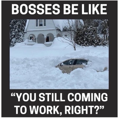 BOSSES BE LIKE
YOU STILL COMING TO WORK, RIGHT?