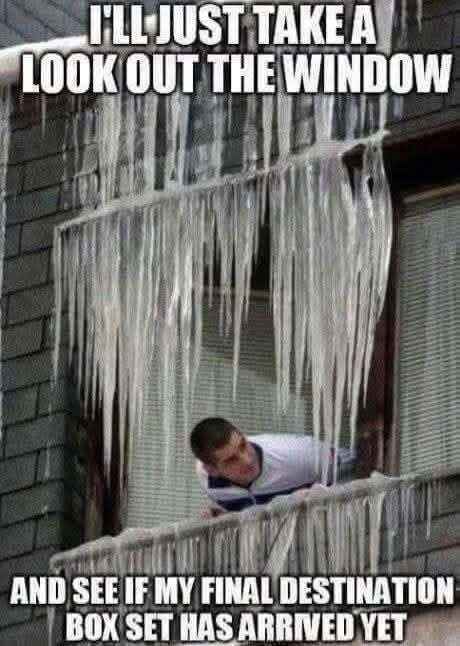 I'LL JUST TAKE A LOOK OUT THE WINDOW AND SEE IF MY FINAL DESTINATION BOX SET HAS ARRIVED YET