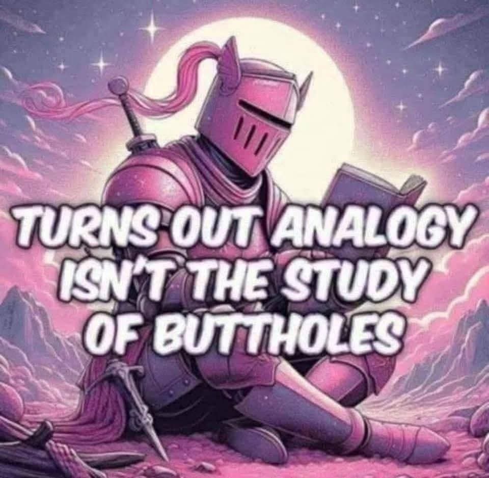 TURNS OUT ANALOGY ISN'T THE STUDY OF BUTTHOLES
