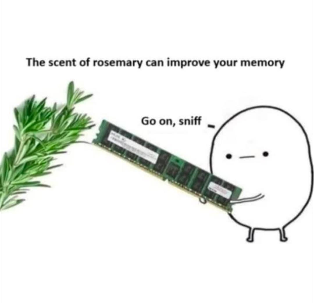 The scent of rosemary can improve your memory. Go on, sniff.